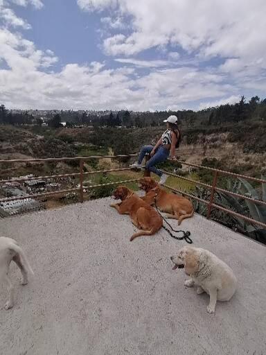 Fakali Homestay Quito Esterno foto